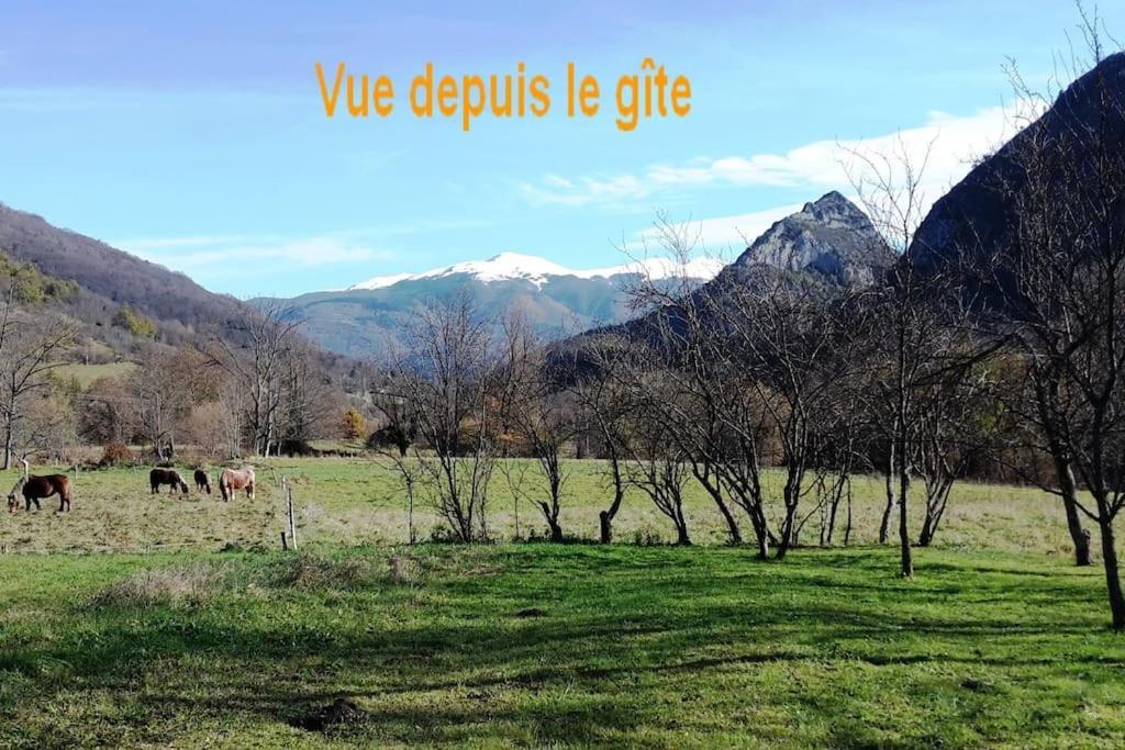 Grange En Pierres. Grand Jardin Et Belle Vue Villa Saurat Bagian luar foto