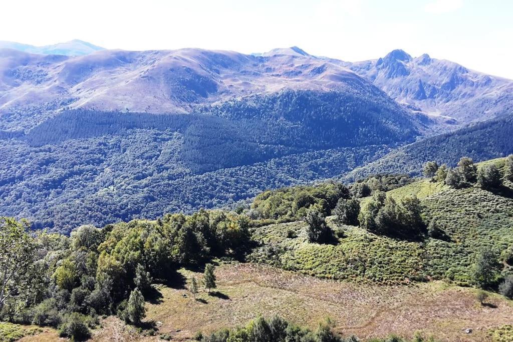 Grange En Pierres. Grand Jardin Et Belle Vue Villa Saurat Bagian luar foto