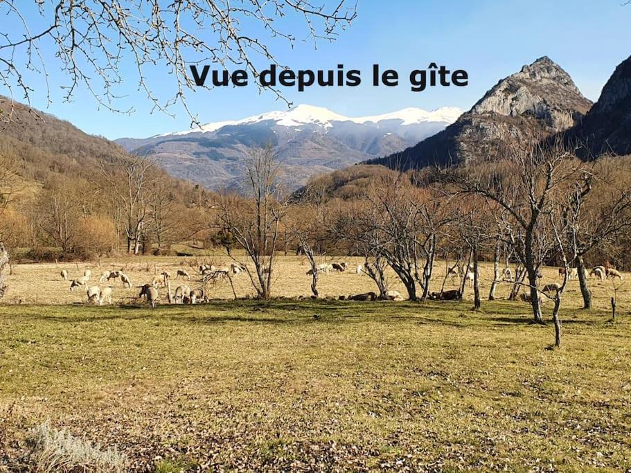 Grange En Pierres. Grand Jardin Et Belle Vue Villa Saurat Bagian luar foto