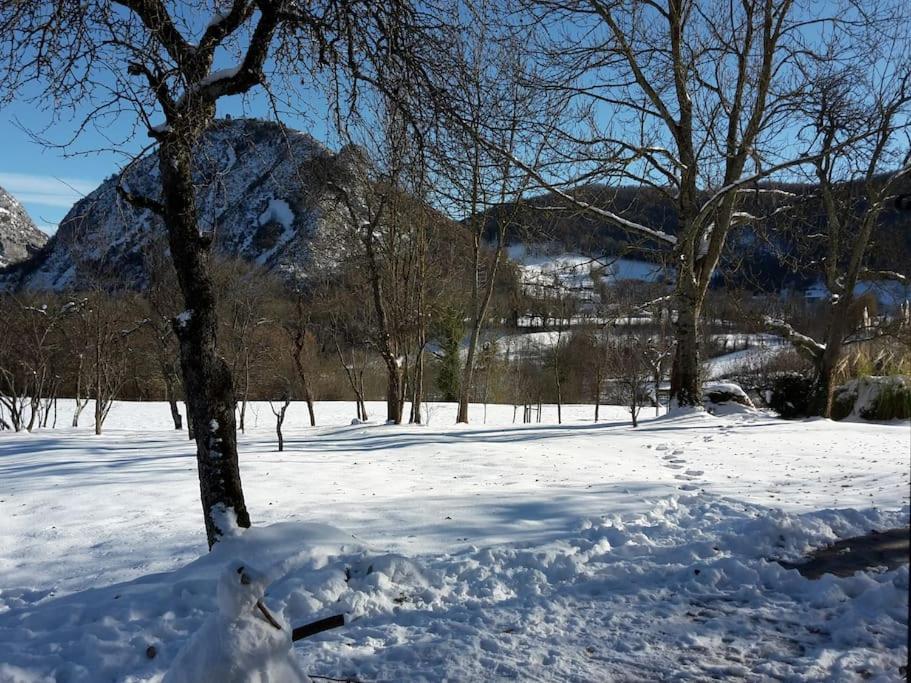 Grange En Pierres. Grand Jardin Et Belle Vue Villa Saurat Bagian luar foto